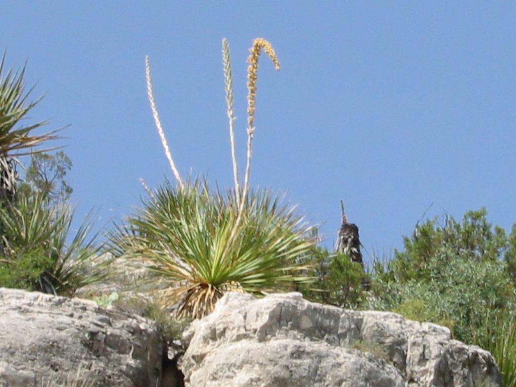 carlsbad 2.JPG, 6/23/2001, 210 kB
