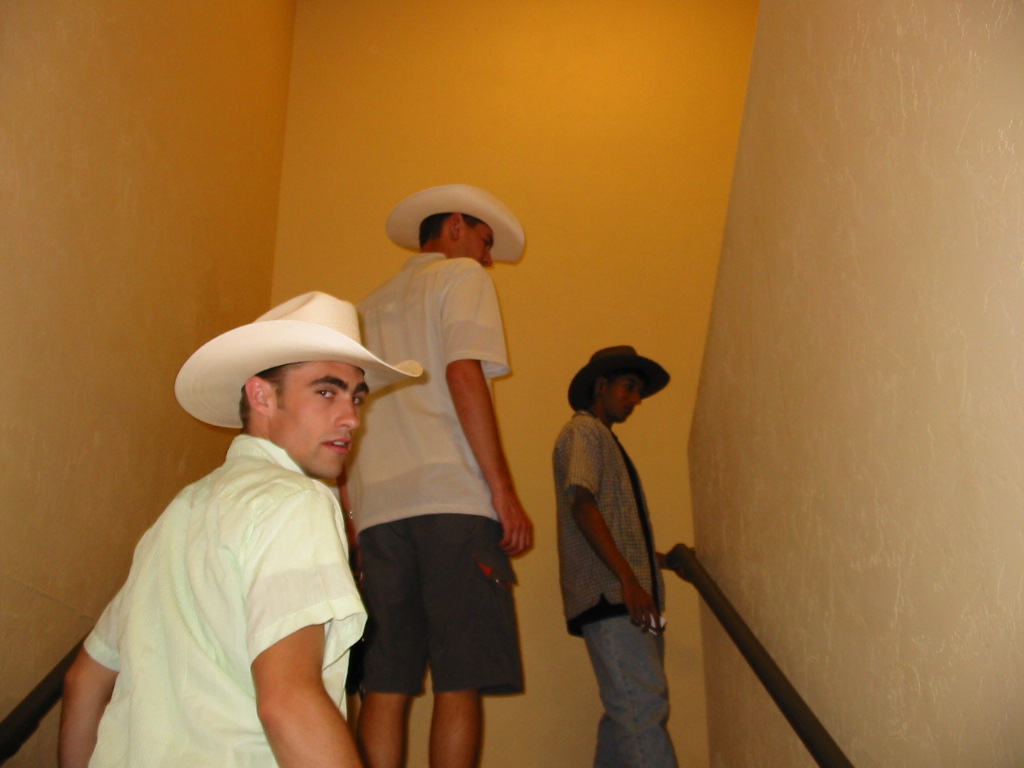 random.JPG, 6/22/2001, 145 kB